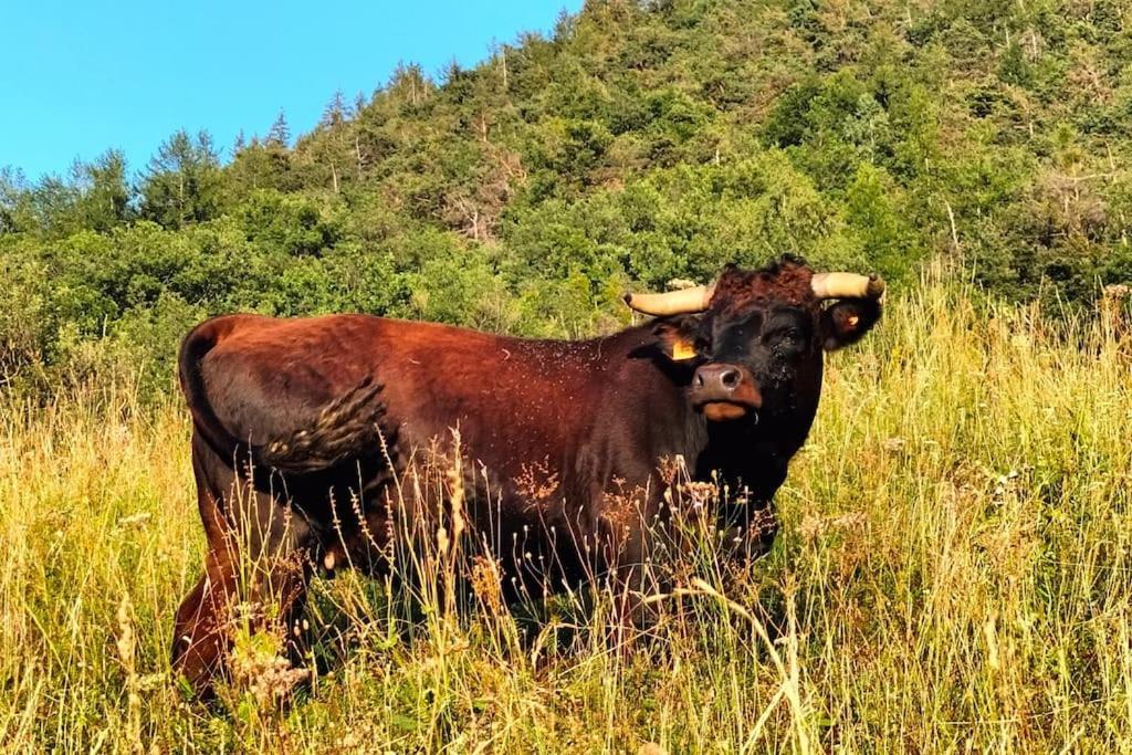 Appartamento Di Montagna Lo Grop Chambave Exterior foto